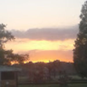 Meet your Posher, Mama